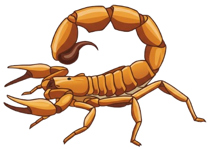 الرمز الانتخابي